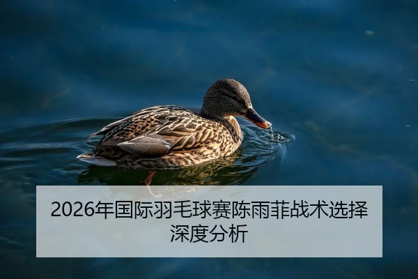 nian-guo-ji-yu-mao-qiu-sai-chen-yu-fei-zhan-shu-xuan-ze-shen-du-fen-xi-2-148.jpg