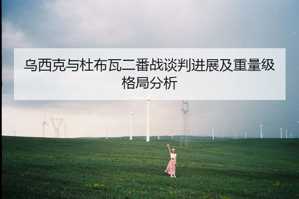乌西克与杜布瓦二番战谈判进展及重量级格局分析