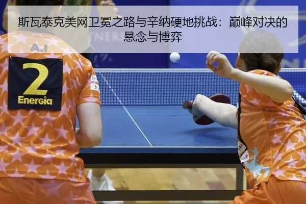 si-wa-tai-ke-mei-wang-wei-mian-zhi-lu-yu-xin-na-ying-di-tiao-zhan-dian-feng-dui-jue-de-xuan-nian-yu-bo-yi-2-569.jpg