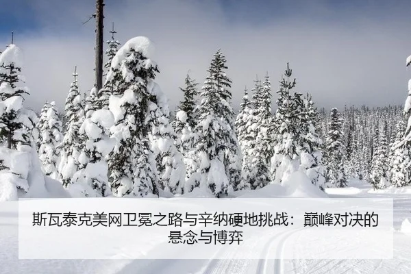 si-wa-tai-ke-mei-wang-wei-mian-zhi-lu-yu-xin-na-ying-di-tiao-zhan-dian-feng-dui-jue-de-xuan-nian-yu-bo-yi-3-891.jpg