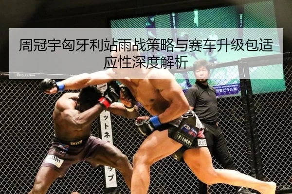 周冠宇匈牙利站雨战策略与赛车升级包适应性深度解析